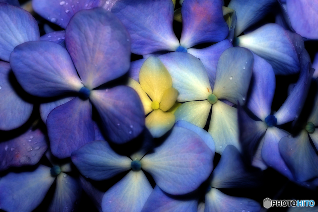 飾り花