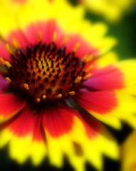 ガイラルディア