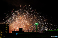 なにわ淀川花火大会 