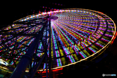 vivid color vivid color