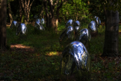silver eggs