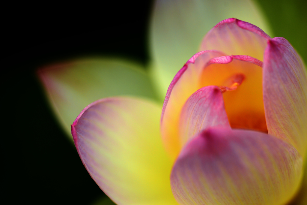 yellow light