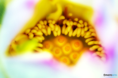 。。