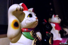 招き猫 / ISO65535