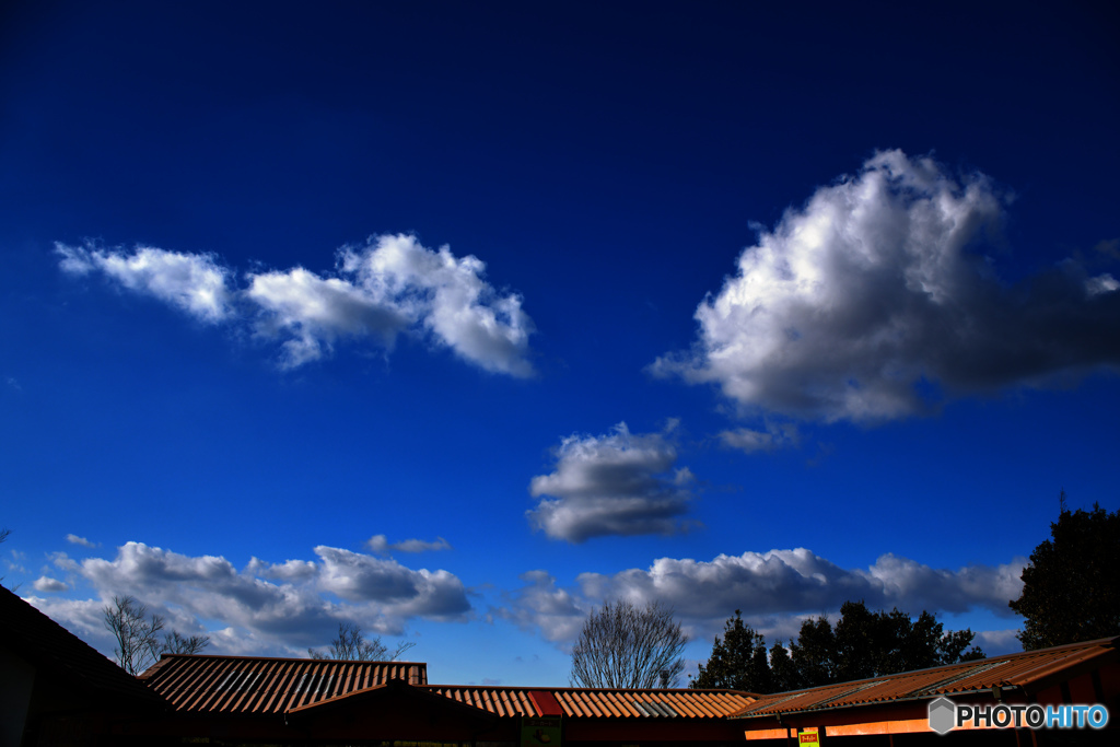 Dark red color of the roof