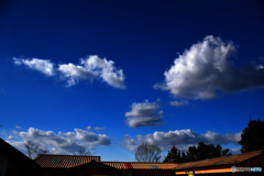 Dark red color of the roof