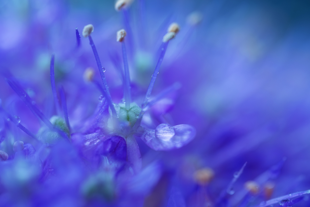 梅雨ⅰ