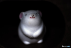 子年