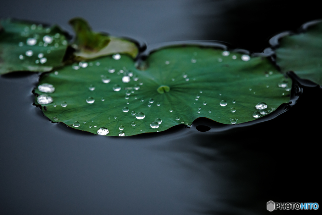 雨粒。。