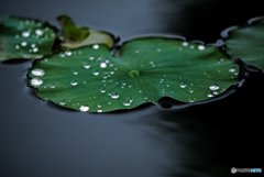 雨粒。。
