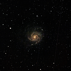 M101