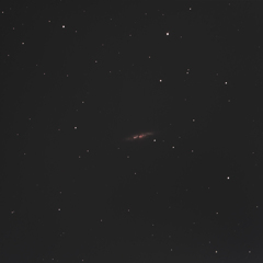 M82