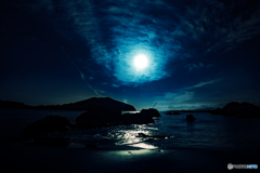 疑似夜景