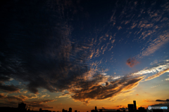 秋.夕焼け