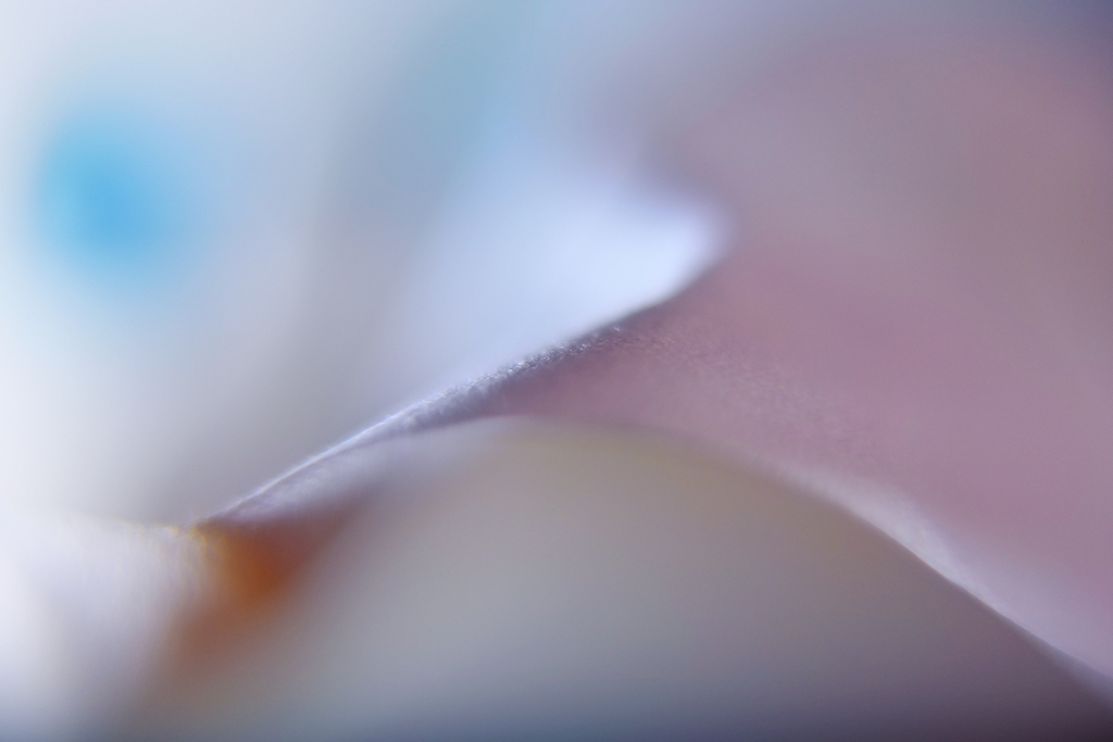 pale color