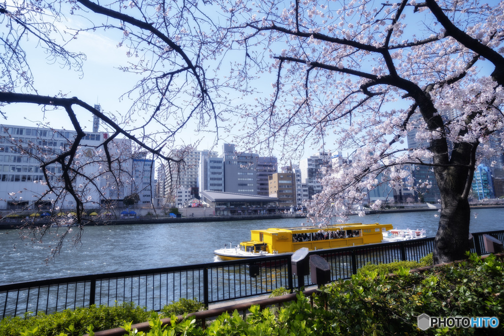 "開花"