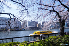 "開花"