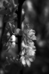 DSC_0000