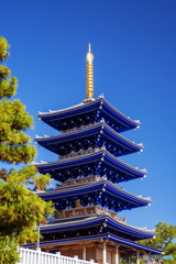 中山寺b