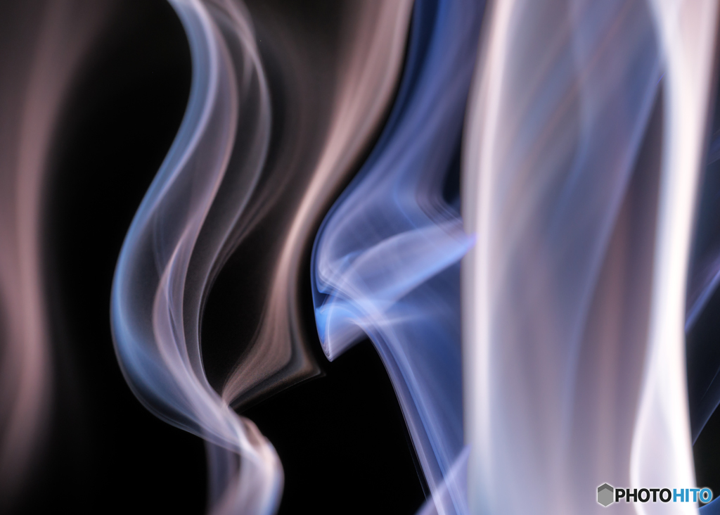 smoke bird
