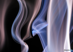 smoke bird