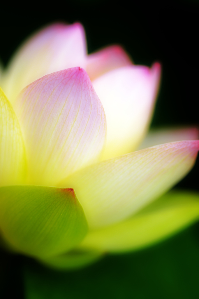 soft light