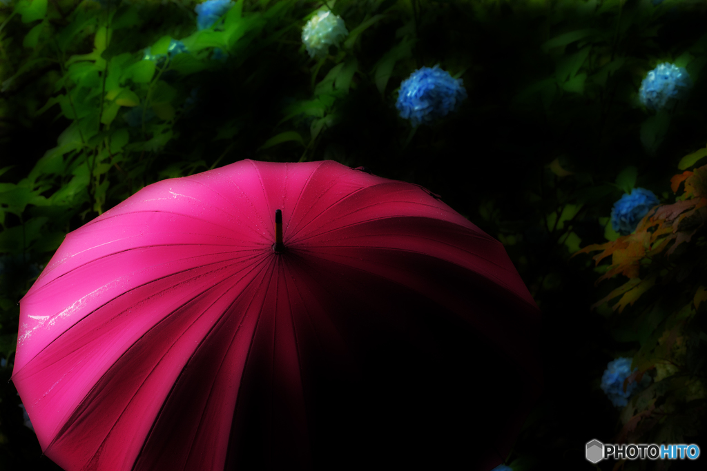 雨降り。