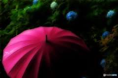 雨降り。
