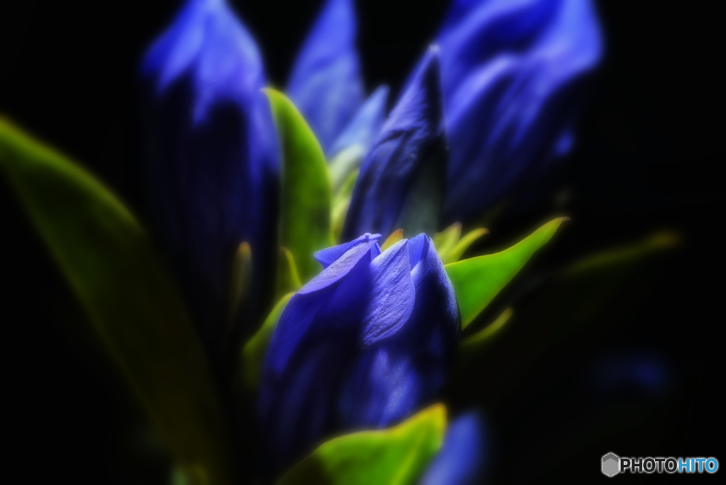 blue・・