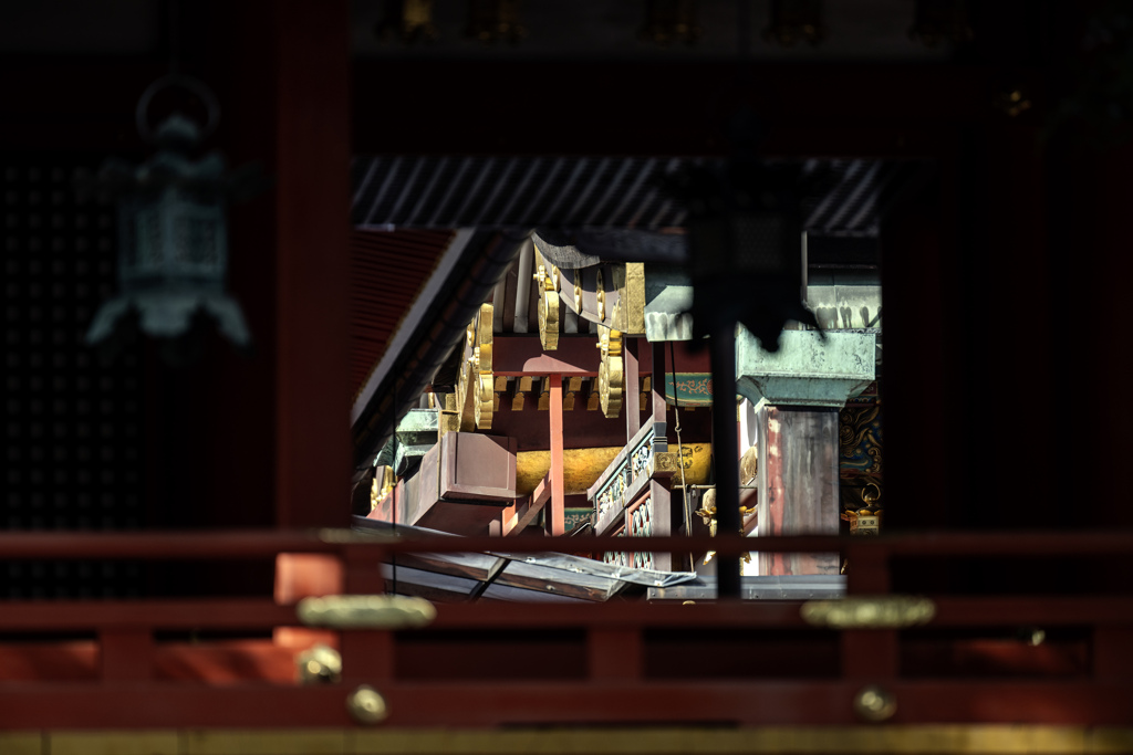 黄金の雨樋