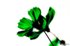 recoloring