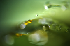 yellow drop