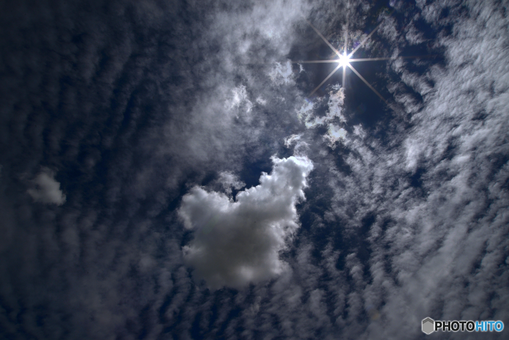 sunlight