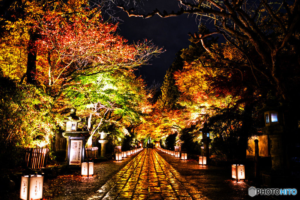 雨ーライトアップ