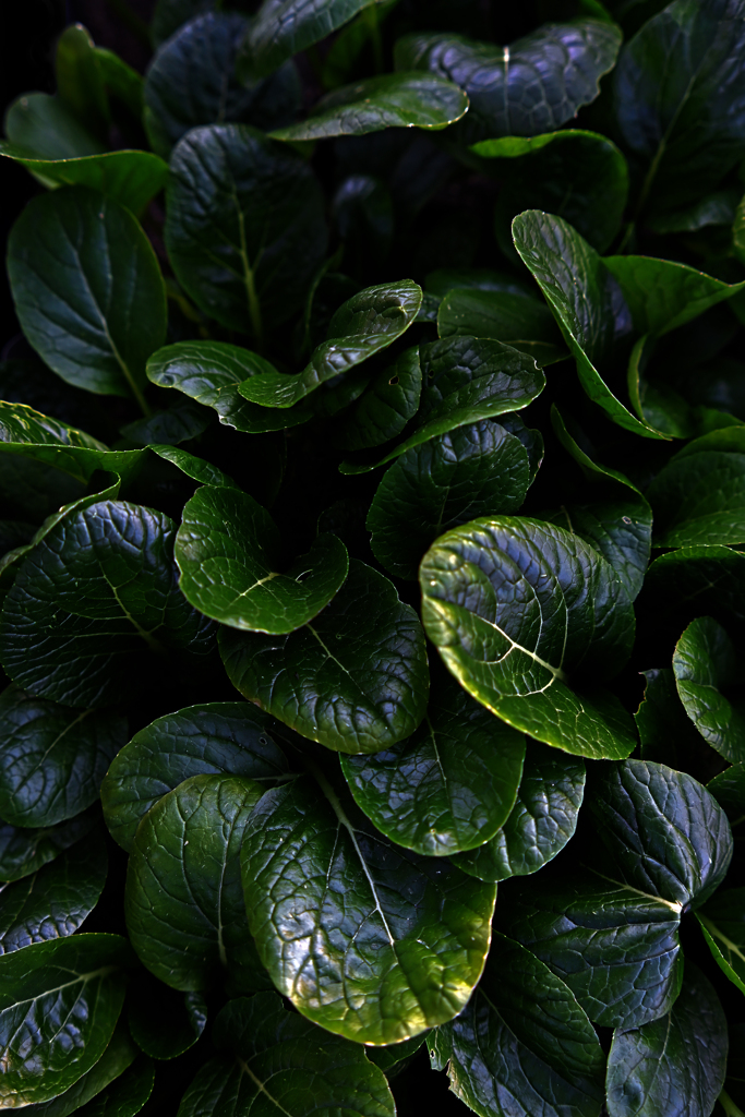 deep green