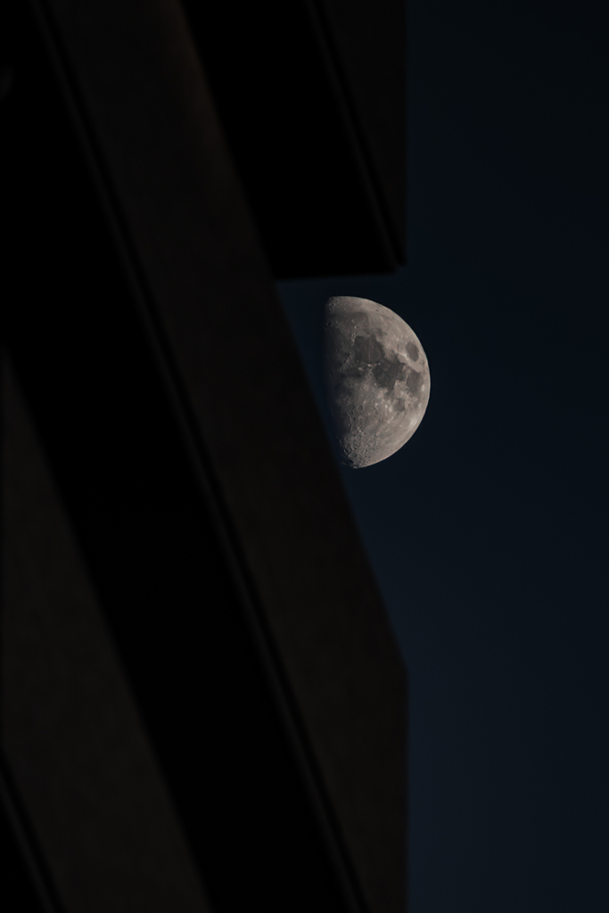 月齢9.1