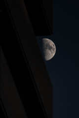 月齢9.1