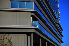blue windows