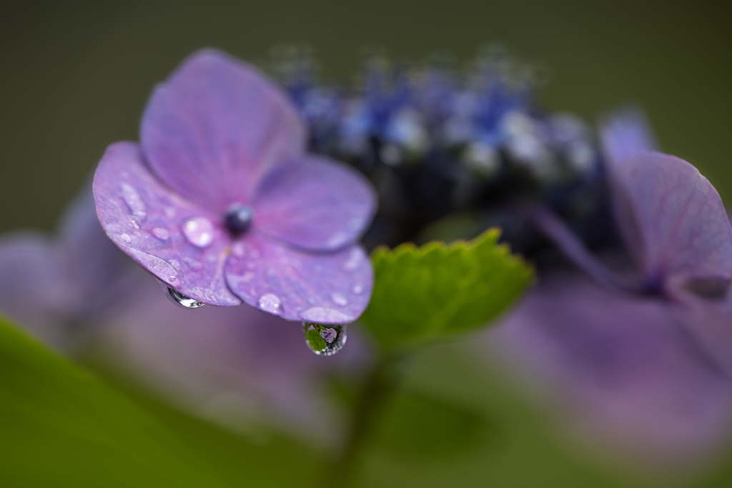 雨。