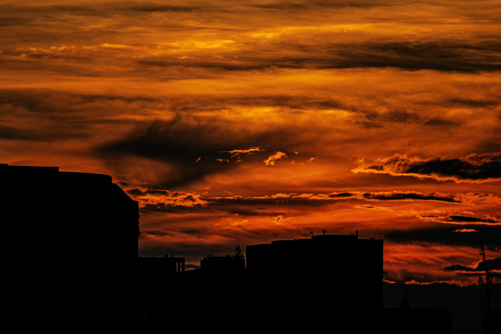 夕焼け