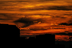 夕焼け