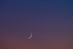 金星と月