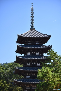 興福寺