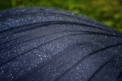雨。