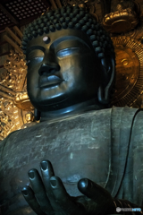 大仏様