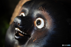 狸