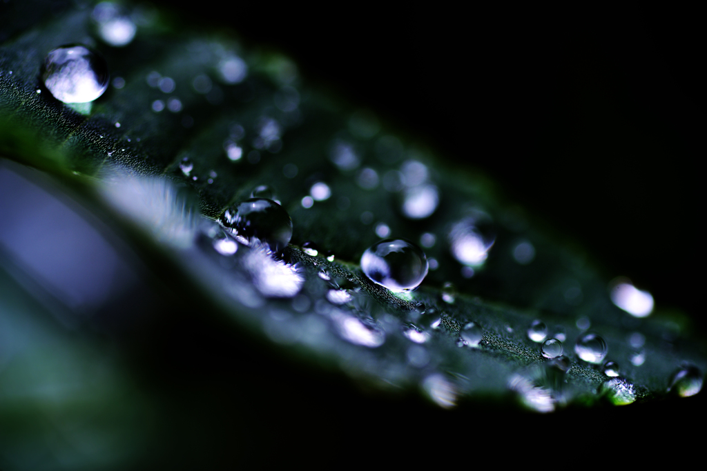 raindrop