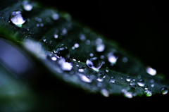 raindrop