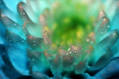  blue ice