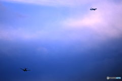 Flight～